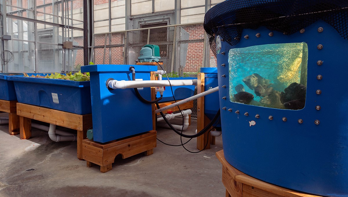 NS-Aquaponics-hero-web